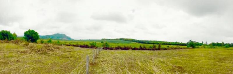 ที่ดิน 18200000 เชียงราย เมืองเชียงราย ป่าอ้อดอนชัย