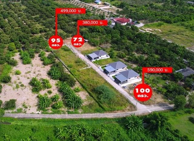 ที่ดิน 590000 เชียงใหม่ สารภี สันทราย