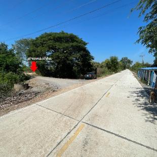 ที่ดิน 16000000 พระนครศรีอยุธยา บางไทร หน้าไม้