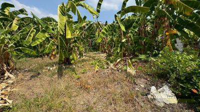 ที่ดิน 11690000 กรุงเทพมหานคร เขตบางซื่อ บางซื่อ