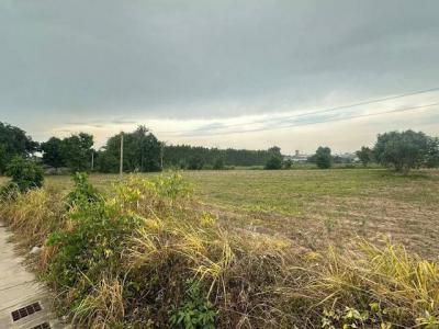 ที่ดิน 7696000 ชลบุรี ศรีราชา บ่อวิน