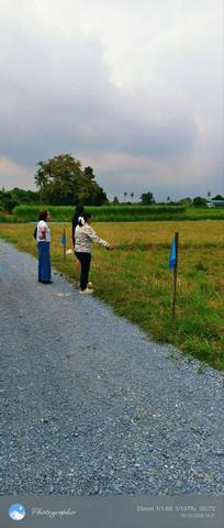 ที่ดิน 390000 นครปฐม เมืองนครปฐม สวนป่าน