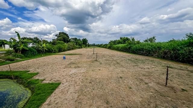 ที่ดิน 350000 ปทุมธานี หนองเสือ หนองสามวัง