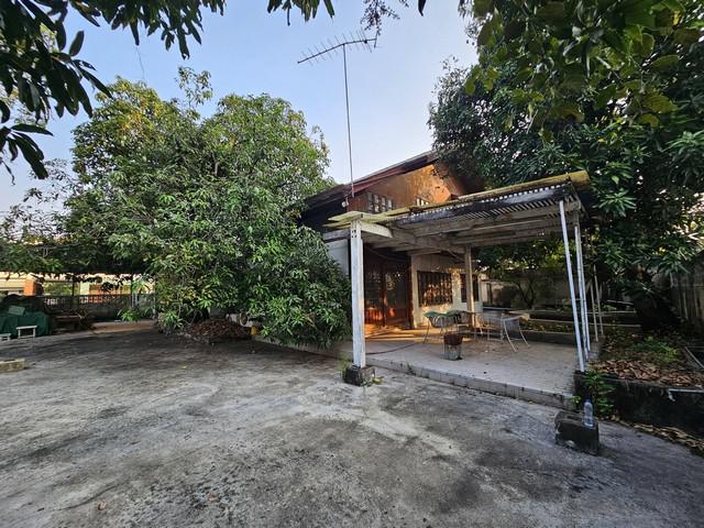 ที่ดิน 70000 กรุงเทพมหานคร เขตพระโขนง บางจาก