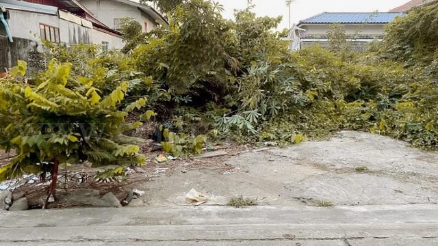 ที่ดิน 990000 กรุงเทพมหานคร เขตบางเขน ท่าแร้ง