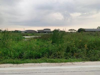 ที่ดิน 5500000 ปทุมธานี คลองหลวง คลองสอง