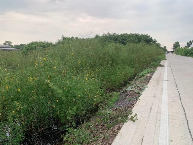 ที่ดิน 5500000 ปทุมธานี คลองหลวง คลองสอง