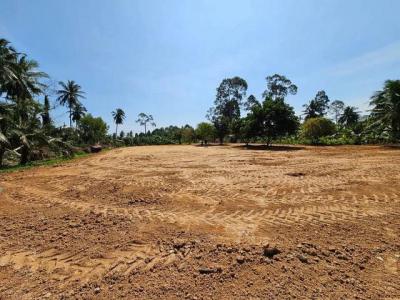 ที่ดิน 6900000 ชลบุรี บางละมุง ห้วยใหญ่