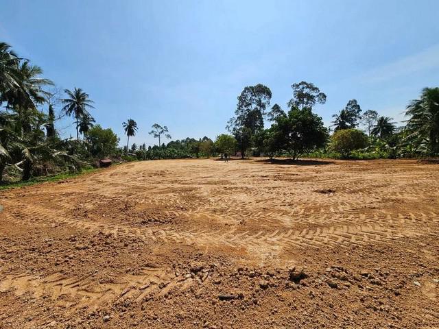 ที่ดิน 6900000 ชลบุรี บางละมุง ห้วยใหญ่