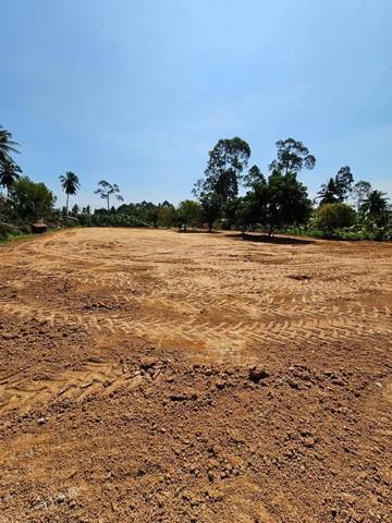 ที่ดิน 6900000 ชลบุรี บางละมุง ห้วยใหญ่