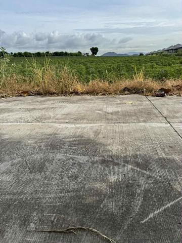 ที่ดิน 57930000 ชลบุรี ศรีราชา บ่อวิน