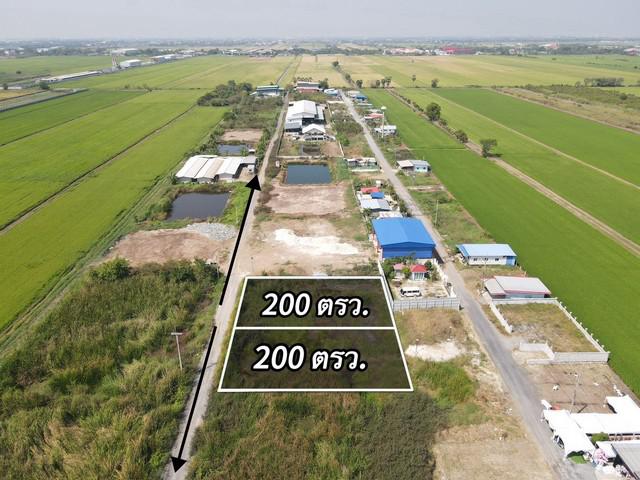 ที่ดิน 1250000 ปทุมธานี ลำลูกกา บึงทองหลาง