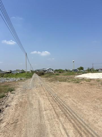 ที่ดิน 1250000 ปทุมธานี ลำลูกกา บึงทองหลาง