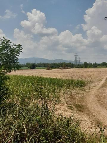 ที่ดิน 1700000 ชลบุรี บ้านบึง คลองกิ่ว