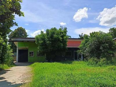 บ้านเดี่ยว 4165000 ขอนแก่น บ้านไผ่ ในเมือง