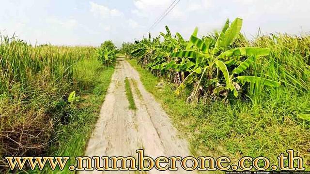 ที่ดิน 750000 ปทุมธานี ธัญบุรี ลำผักกูด