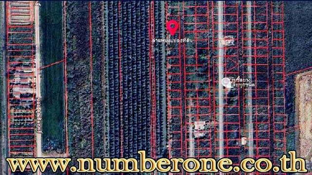 ที่ดิน 750000 ปทุมธานี ธัญบุรี ลำผักกูด