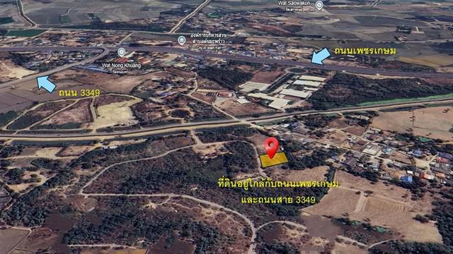 ที่ดิน 1200000 เพชรบุรี เมืองเพชรบุรี ต้นมะพร้าว