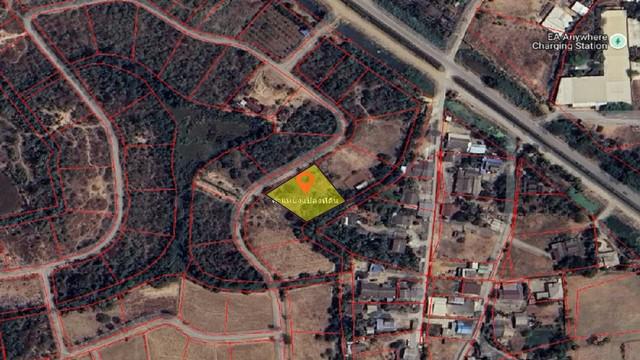 ที่ดิน 1200000 เพชรบุรี เมืองเพชรบุรี ต้นมะพร้าว