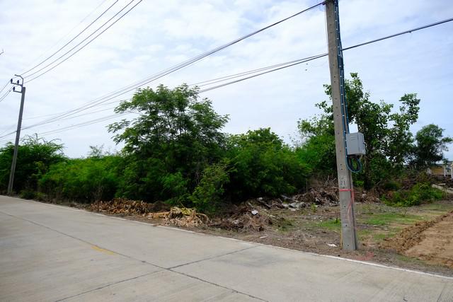 ที่ดิน 7500000 นนทบุรี ไทรน้อย ไทรใหญ่