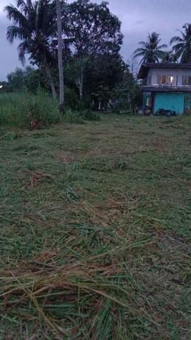 ที่ดิน 2650000 ชลบุรี ศรีราชา หนองขาม