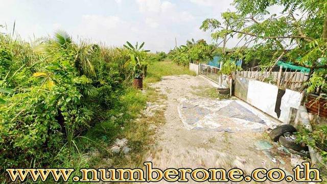 ที่ดิน 750000 ปทุมธานี ธัญบุรี ลำผักกูด