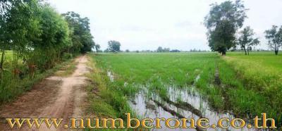 ที่ดิน 14029500 กำแพงเพชร ทรายทองวัฒนา ทุ่งทราย