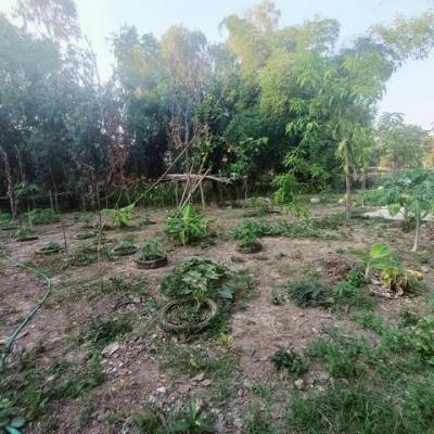 ที่ดิน 420000 อุทัยธานี เมืองอุทัยธานี สะแกกรัง