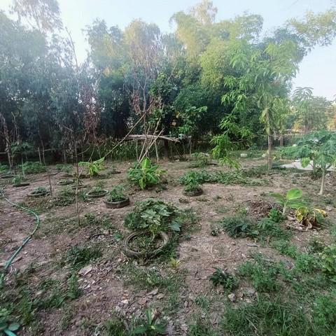 ที่ดิน 420000 อุทัยธานี เมืองอุทัยธานี สะแกกรัง