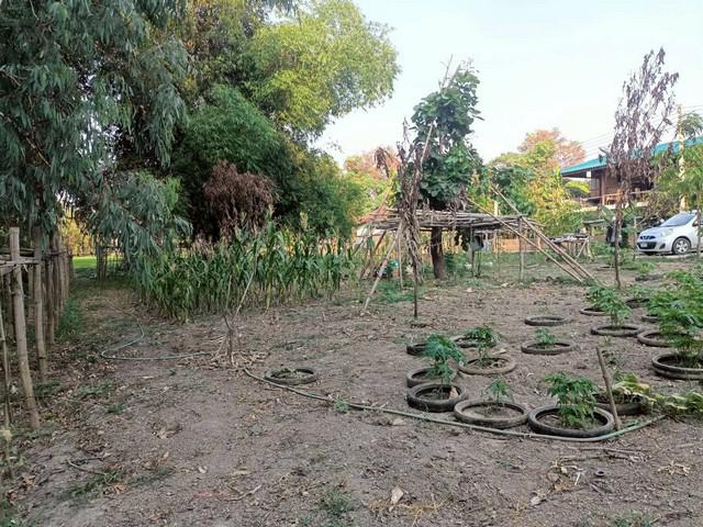 ที่ดิน 420000 อุทัยธานี เมืองอุทัยธานี สะแกกรัง