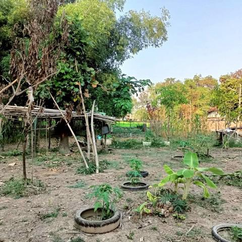 ที่ดิน 420000 อุทัยธานี เมืองอุทัยธานี สะแกกรัง