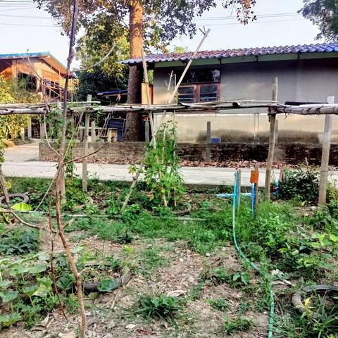 ที่ดิน 420000 อุทัยธานี เมืองอุทัยธานี สะแกกรัง