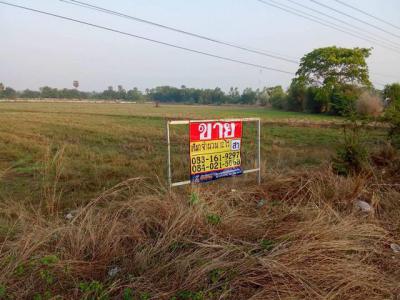 ที่ดิน 10800000 ขอนแก่น หนองสองห้อง ตะกั่วป่า