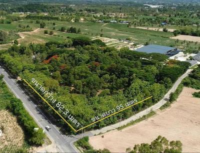 ที่ดิน 29322000 ชลบุรี บางละมุง โป่ง