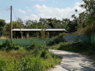 โกดัง 1177000 บุรีรัมย์ ลำปลายมาศ หนองโดน