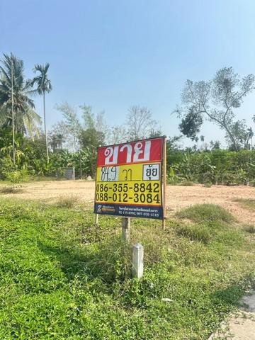 ที่ดิน 1200000 ระยอง บ้านค่าย ตาขัน