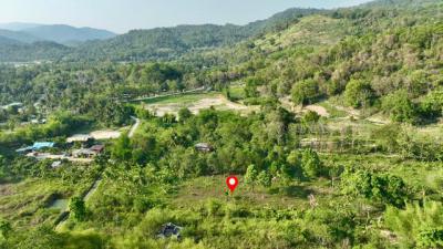 ที่ดิน 4600000 ชลบุรี ศรีราชา หนองขาม