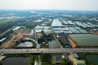 ที่ดิน 1755000 ฉะเชิงเทรา เมืองฉะเชิงเทรา คลองนา