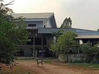 โรงงาน 6208000 พิษณุโลก บางระกำ วังอิทก