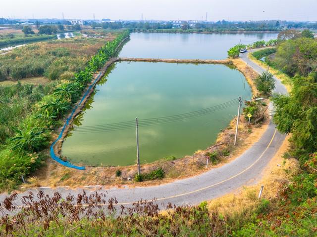 ที่ดิน 45000000 ชลบุรี พานทอง บางนาง