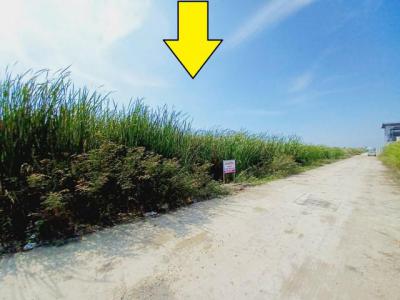 ที่ดิน 6500000 ปทุมธานี ลำลูกกา ลาดสวาย