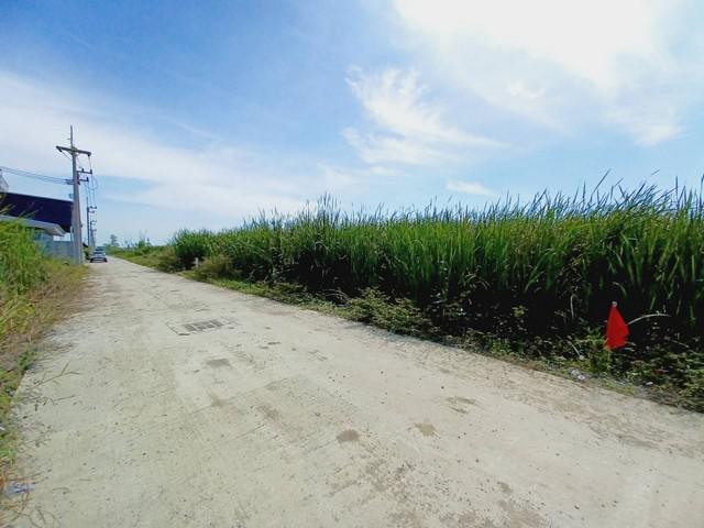 ที่ดิน 6500000 ปทุมธานี ลำลูกกา ลาดสวาย