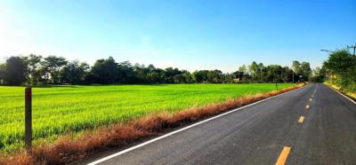 ที่ดิน 3333000 นครนายก องครักษ์ องครักษ์