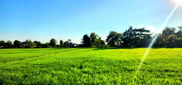 ที่ดิน 3333000 นครนายก องครักษ์ องครักษ์