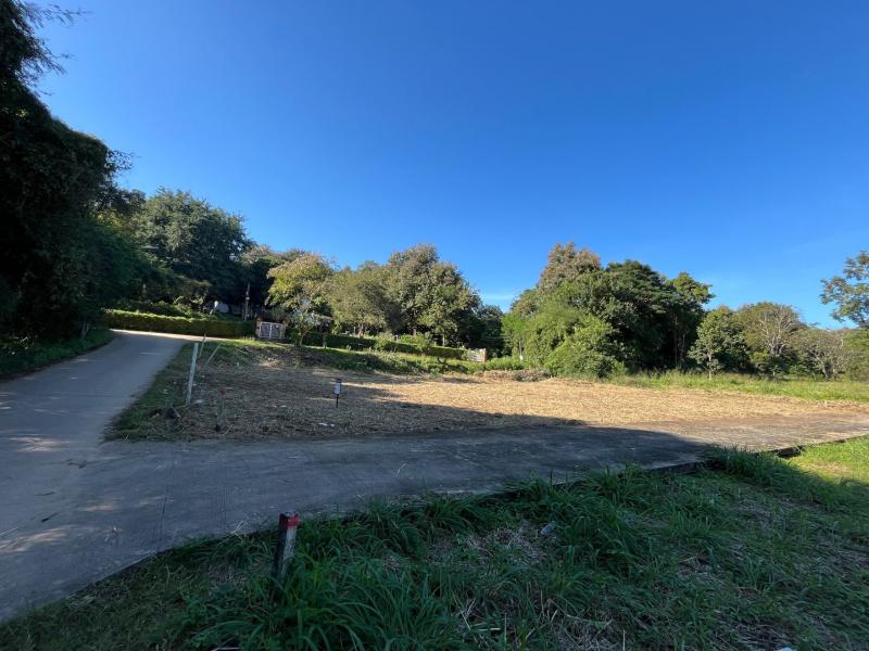 ที่ดิน 22000000 เชียงใหม่ เมืองเชียงใหม่ สุเทพ