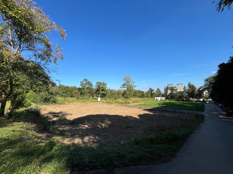 ที่ดิน 22000000 เชียงใหม่ เมืองเชียงใหม่ สุเทพ