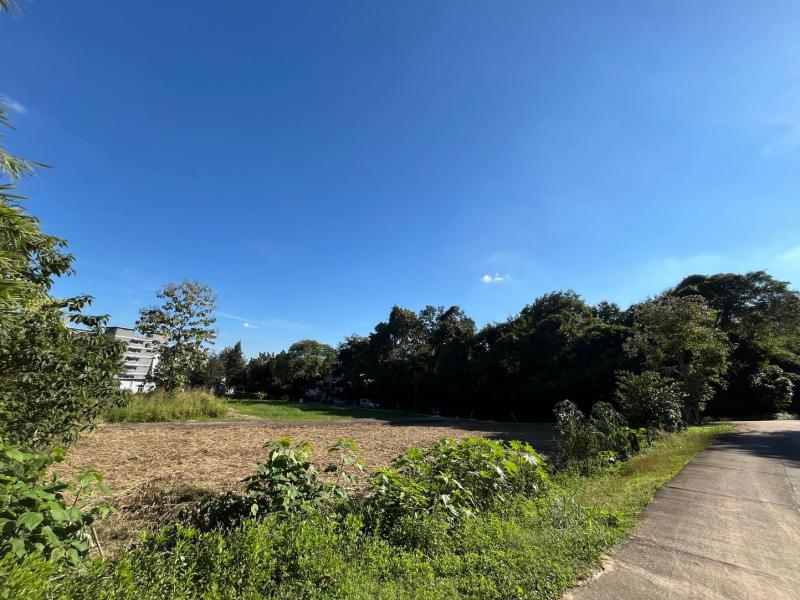 ที่ดิน 22000000 เชียงใหม่ เมืองเชียงใหม่ สุเทพ