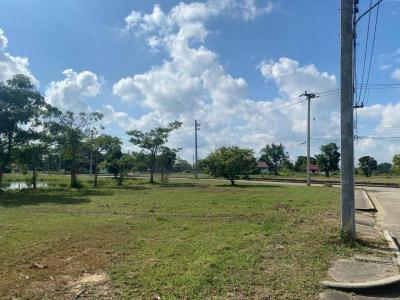 ที่ดิน 4025000 เชียงใหม่ ดอยสะเก็ด ตลาดขวัญ