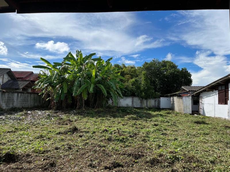 ที่ดิน 2470000 เชียงใหม่ สันป่าตอง มะขามหลวง