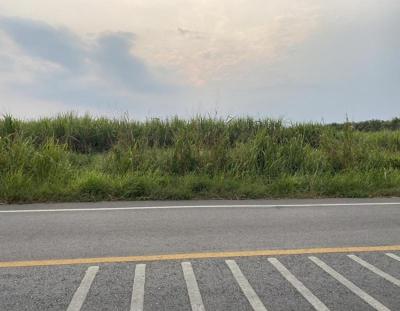 ที่ดิน 1300000 ชลบุรี กิ่งอำเภอเกาะจันทร์ ท่าบุญมี